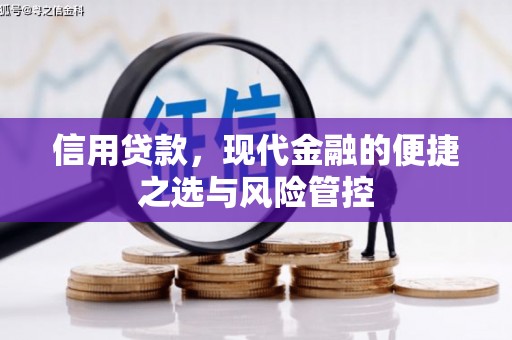 二水信用贷款，现代金融的便捷之选与风险管控