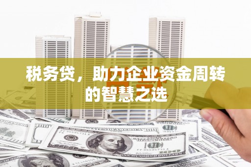 钦北税务贷，助力企业资金周转的智慧之选