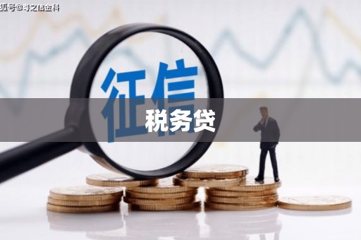 友谊税务贷