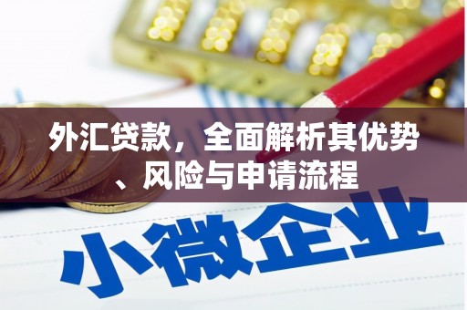 大洼外汇贷款，全面解析其优势、风险与申请流程