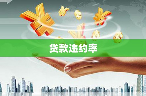 礼县贷款违约率