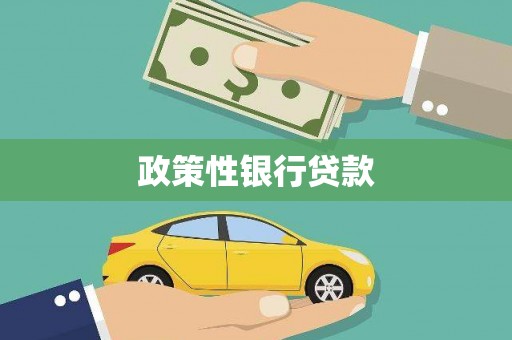 万源政策性银行贷款