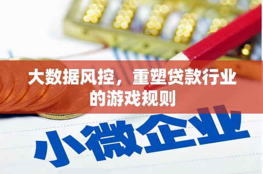 任县大数据风控，重塑贷款行业的游戏规则