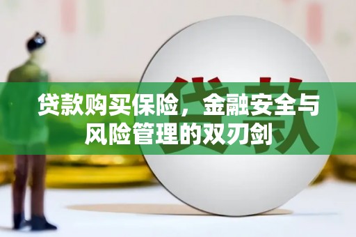 泉山贷款购买保险，金融安全与风险管理的双刃剑