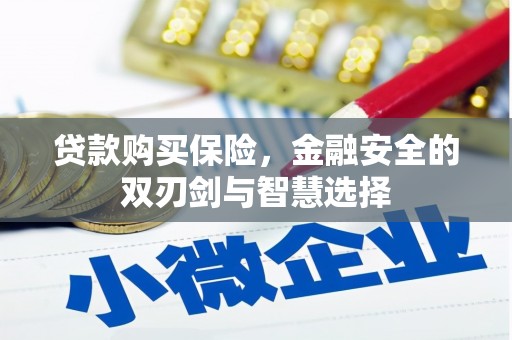 平舆贷款购买保险，金融安全的双刃剑与智慧选择