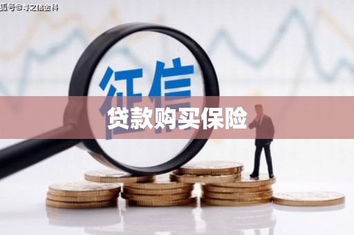 启东贷款购买保险