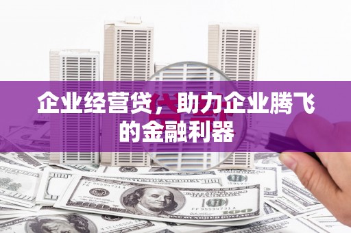 苑里企业经营贷，助力企业腾飞的金融利器