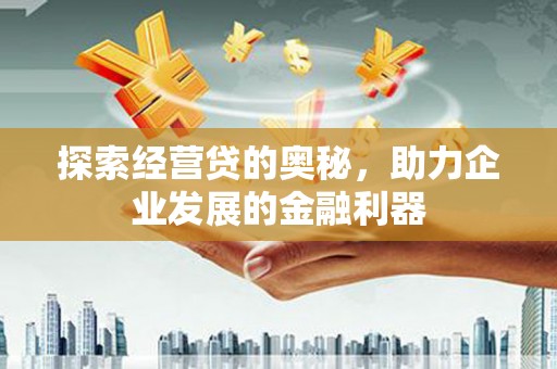 安南探索经营贷的奥秘，助力企业发展的金融利器