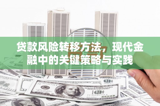 海兴贷款风险转移方法，现代金融中的关键策略与实践