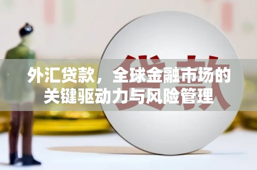 光明新区外汇贷款，全球金融市场的关键驱动力与风险管理