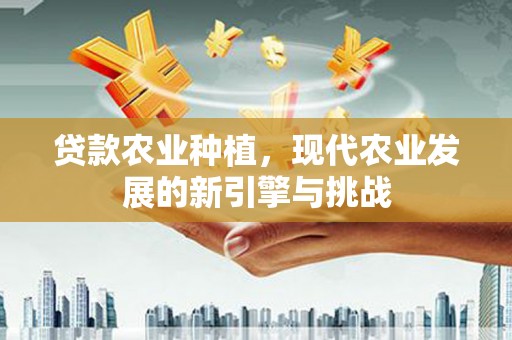 林西贷款农业种植，现代农业发展的新引擎与挑战