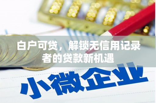 龙文白户可贷，解锁无信用记录者的贷款新机遇