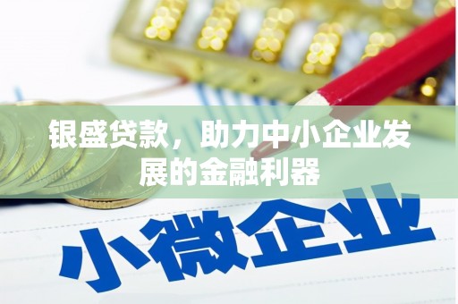 全南银盛贷款，助力中小企业发展的金融利器