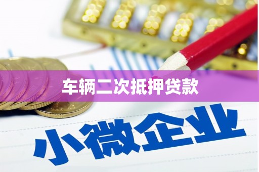 新园车辆二次抵押贷款