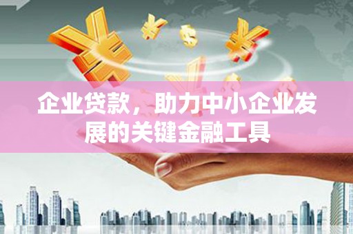 阜新企业贷款，助力中小企业发展的关键金融工具