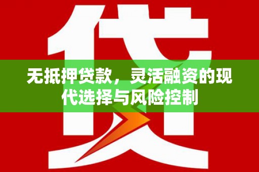 汕尾无抵押贷款，灵活融资的现代选择与风险控制