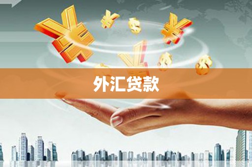 色达外汇贷款