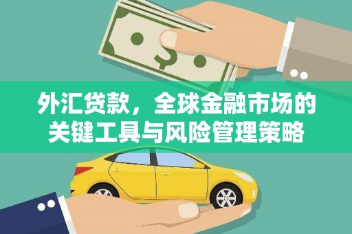 葵青外汇贷款，全球金融市场的关键工具与风险管理策略