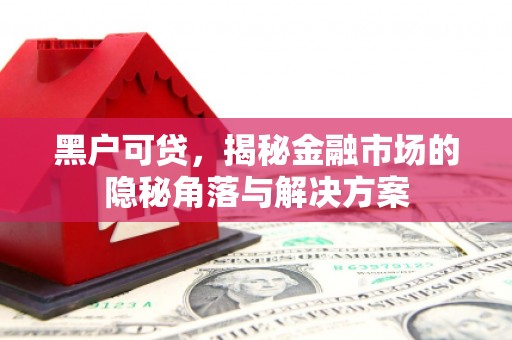 沿滩黑户可贷，揭秘金融市场的隐秘角落与解决方案