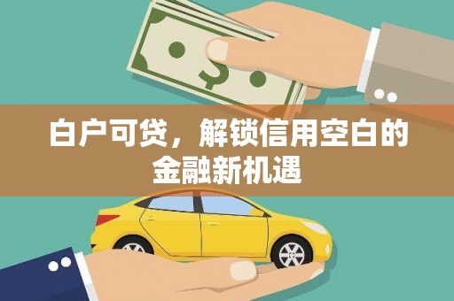 舞阳白户可贷，解锁信用空白的金融新机遇
