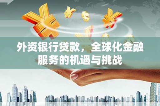 界首外资银行贷款，全球化金融服务的机遇与挑战