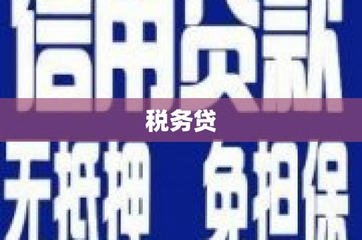 沂南税务贷