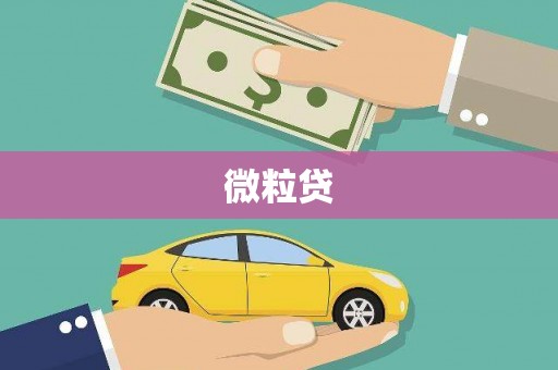 天津微粒贷
