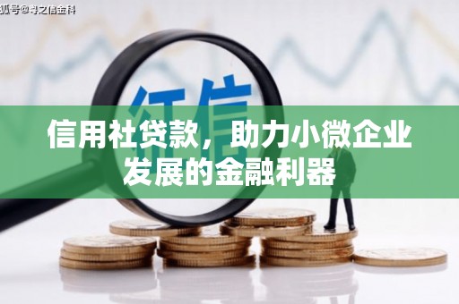光泽信用社贷款，助力小微企业发展的金融利器
