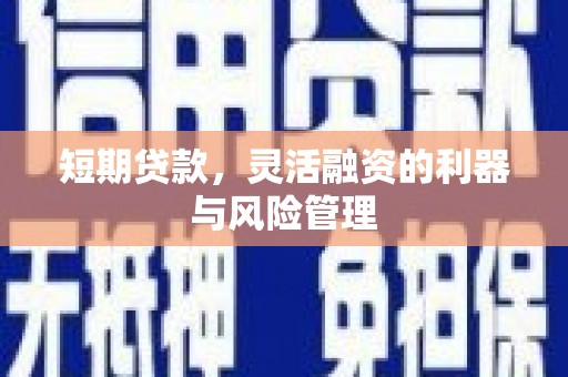无极短期贷款，灵活融资的利器与风险管理
