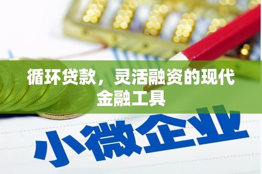 敦化循环贷款，灵活融资的现代金融工具