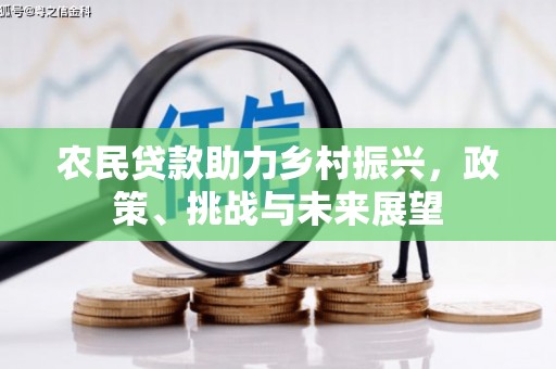 天津农民贷款助力乡村振兴，政策、挑战与未来展望