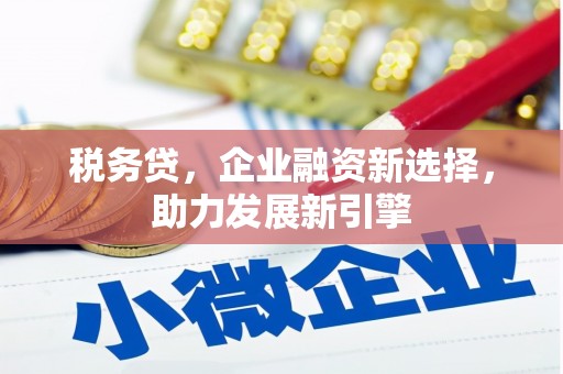 徐州税务贷，企业融资新选择，助力发展新引擎