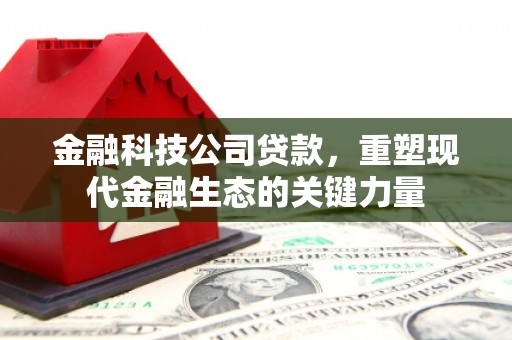 东营金融科技公司贷款，重塑现代金融生态的关键力量
