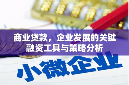 宝塔商业贷款，企业发展的关键融资工具与策略分析
