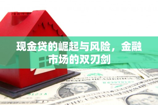 阳高现金贷的崛起与风险，金融市场的双刃剑