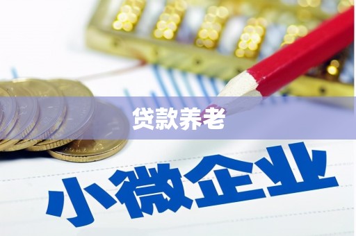 芗城贷款养老