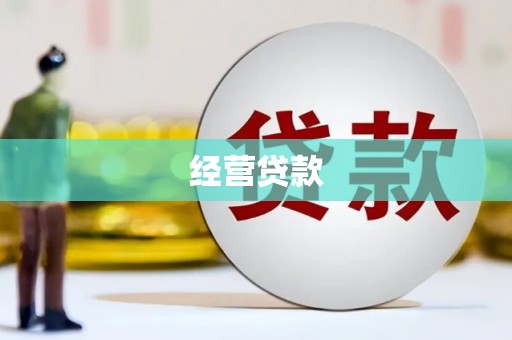 北辰经营贷款