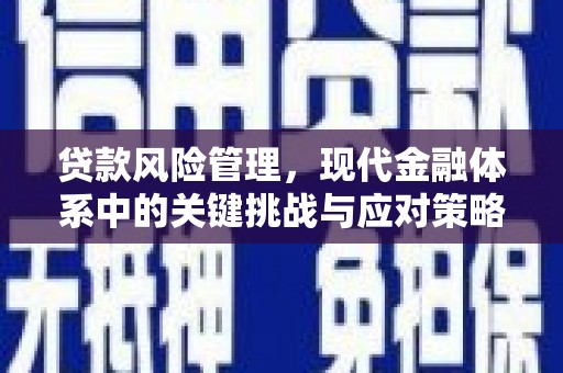中埔贷款风险管理，现代金融体系中的关键挑战与应对策略