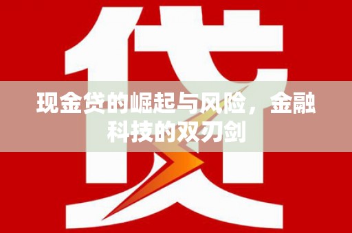 兰山现金贷的崛起与风险，金融科技的双刃剑