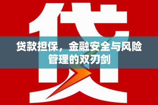 南陵贷款担保，金融安全与风险管理的双刃剑