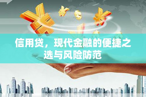 学甲信用贷，现代金融的便捷之选与风险防范