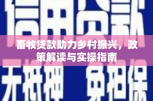 永宁畜牧贷款助力乡村振兴，政策解读与实操指南