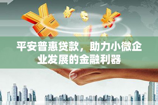 乐东平安普惠贷款，助力小微企业发展的金融利器