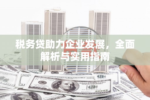 陕西税务贷助力企业发展，全面解析与实用指南