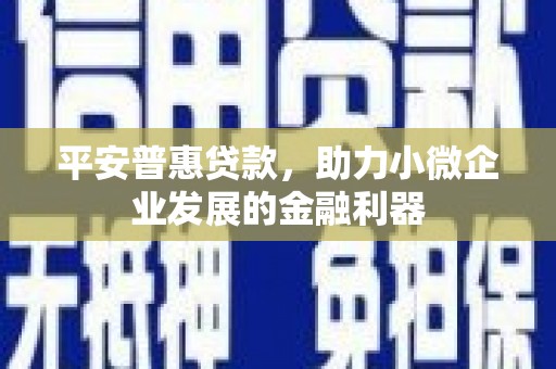临渭平安普惠贷款，助力小微企业发展的金融利器
