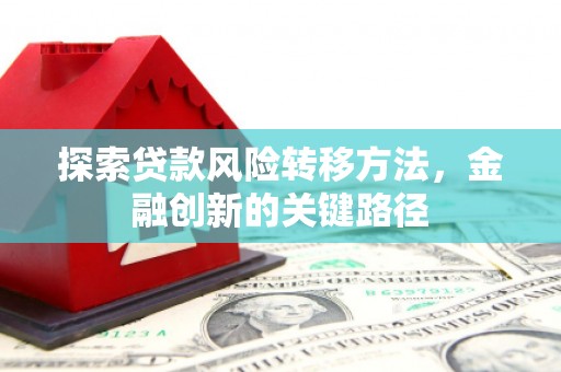 延津探索贷款风险转移方法，金融创新的关键路径