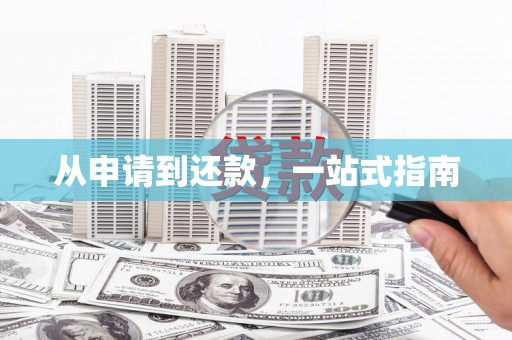 新泰从申请到还款，一站式指南