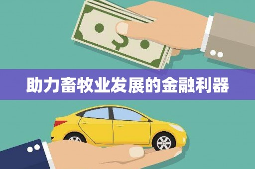 施甸助力畜牧业发展的金融利器