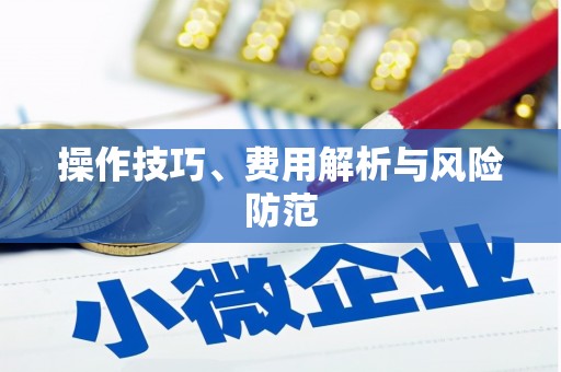 修文操作技巧、费用解析与风险防范