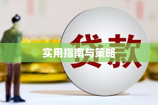 双河实用指南与策略
